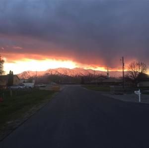 Meet your Posher, Brock